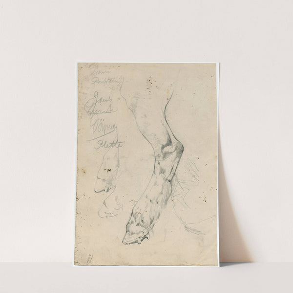 Cow’s paw (1877) by Floris Verster