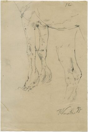 Cow’s paws