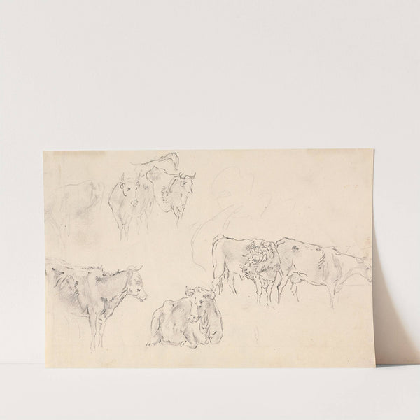 Cows with Bull in the Foreground by Sawrey Gilpin