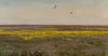 Cowslips