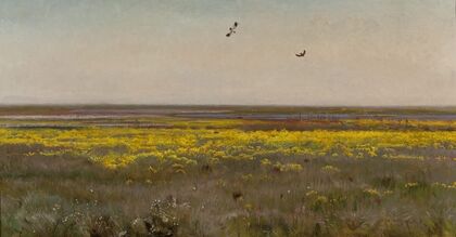 Cowslips