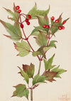 Untitled (1874)