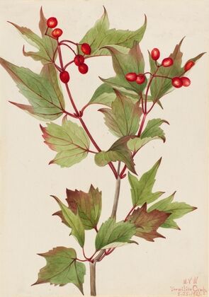 Untitled (1874)