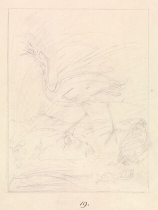 Crane and Frogs