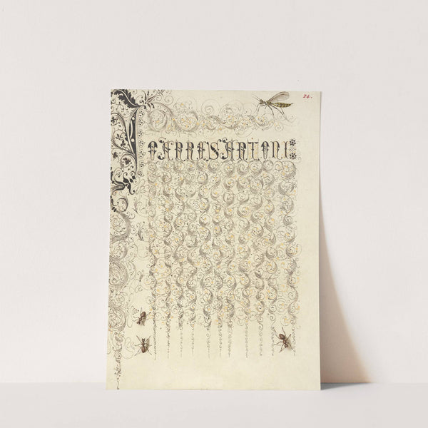 Crane Fly and Ants (1561–1596) by Joris Hoefnagel