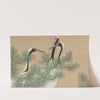 Cranes (Tsuru) (1909-1910) by Kamisaka Sekka