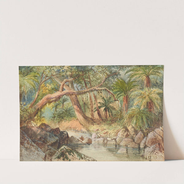 Creek at Holmes Bay, Banks Peninsula (fuschia trees) by Nicholas Chevalier