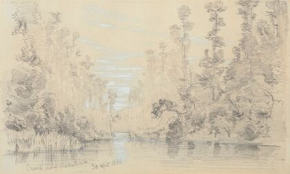 Creek near Hokitika