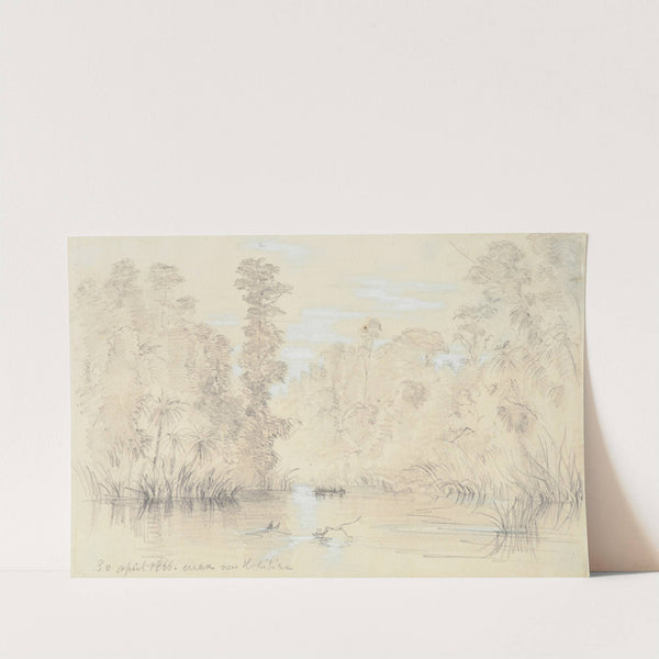 Creek near Hokitika by Nicholas Chevalier