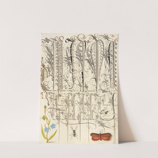 Creeping Forget-Me-Not, Insect, and Planthopper (1561–1596) by Joris Hoefnagel