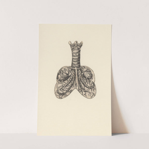 Cross section of trachea and lungs by Lucas Kilian