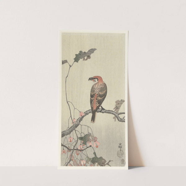 Crossbill on tree branch by Ohara Koson
