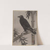Crow on a Bamboo Branch (ca. 1887) by Kawanabe Kyōsai