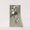 Crow with cherry blossom by Ohara Koson
