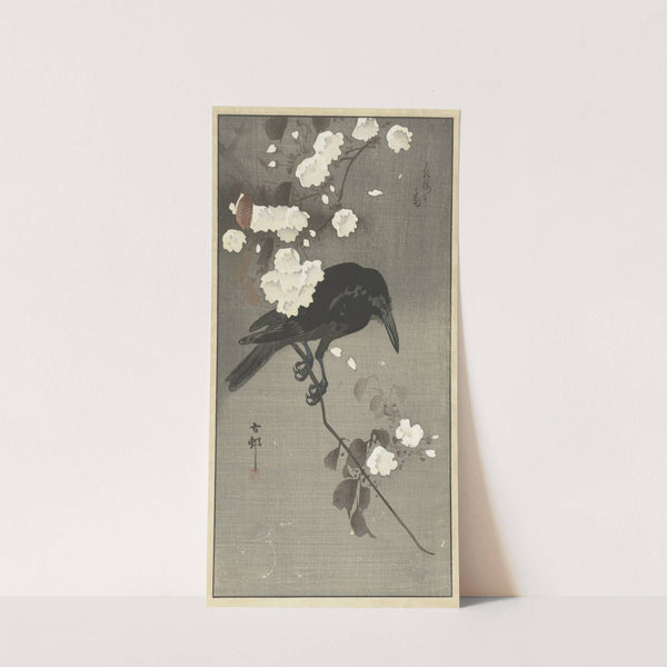 Crow with cherry blossom by Ohara Koson