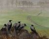 Crows – Council of Seniors