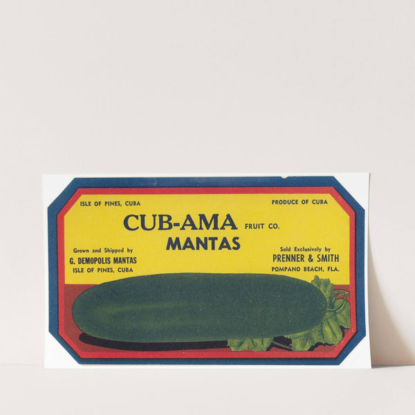 Cub-Ama Fruit Company Cucumber Label (1930-1950)