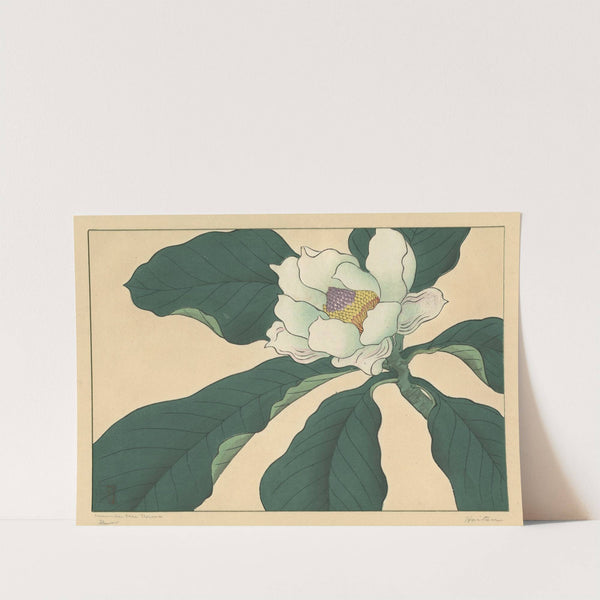 Cucumber tree flowers by Sakai Hōitsu