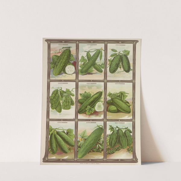Cucumbers (1921) by Genesee Valley Lithograph Co.