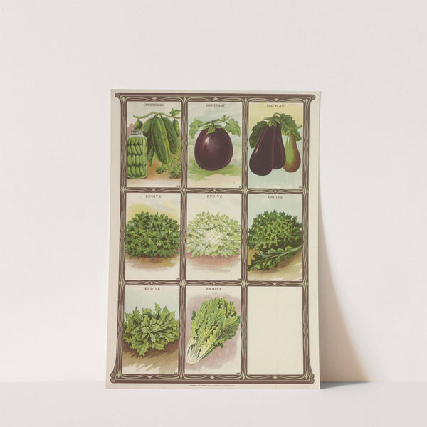 Cucumbers, Egg Plant, Endive (1921) by Genesee Valley Lithograph Co.