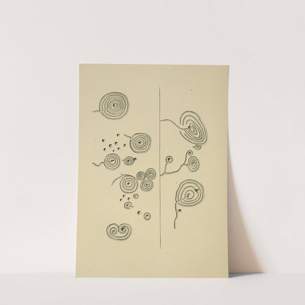 Cup sculptures at Auchnabreach, Scotland (1894) by Garrick Mallery