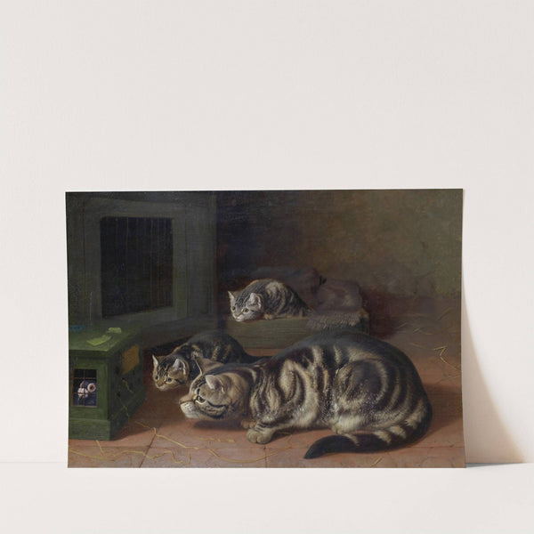 Curiosity by Horatio Henry Couldery