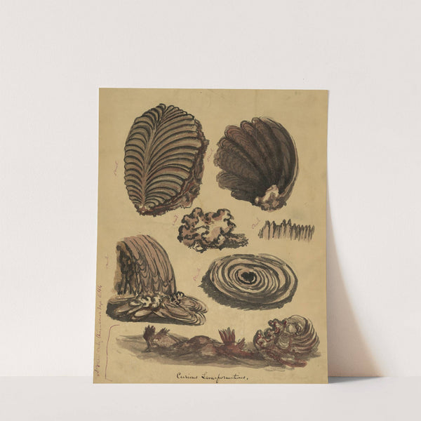 Curious lava formations by Bayard Taylor