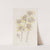 Cut-lipped Oncidium by Sydenham Edwards