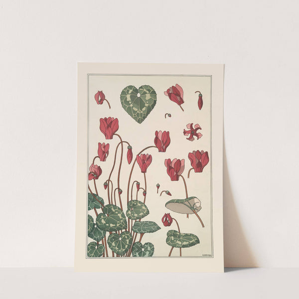 Cyclamen by Maurice Pillard Verneuil