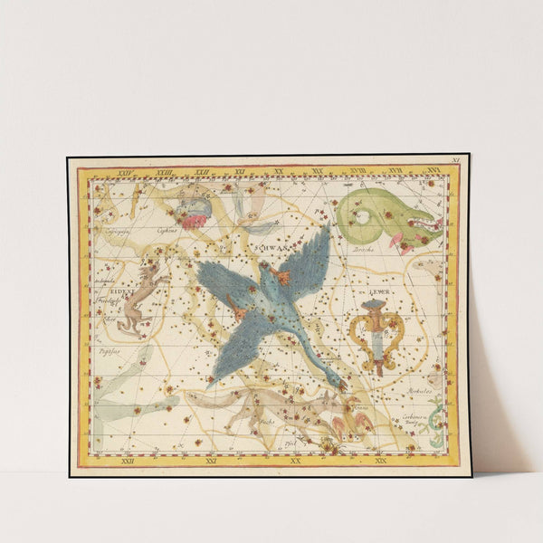 Cygnus, Lacerta, and Lyra (1805) by Johann Elert Bode