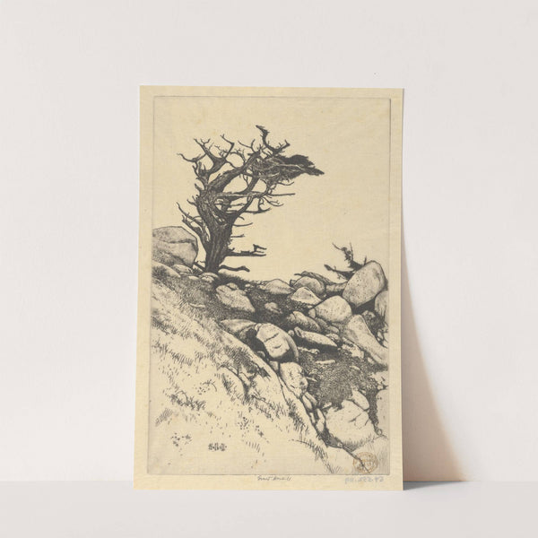 Cypress and Rocks (1915) by Ernest Haskell