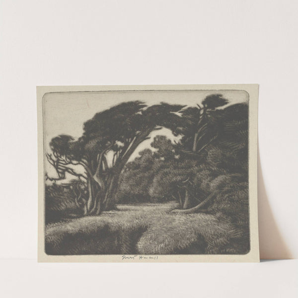 Cypress Bower (1920) by Ernest Haskell