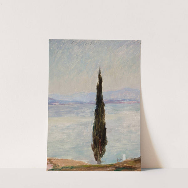 Cypress. From the journey to Constantinople (1893) by Jan Ciągliński