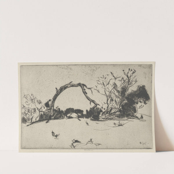 Cypress Study No. 1 (1915) by Ernest Haskell