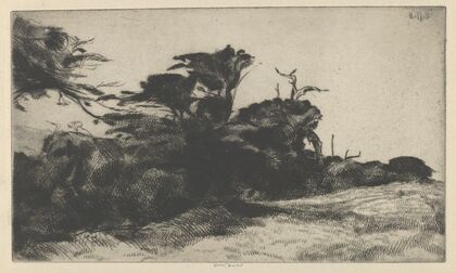 Cypress Study No. 2 (1915)