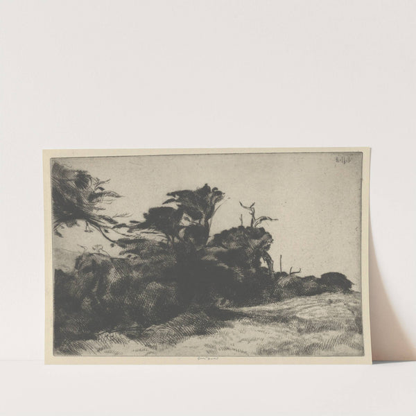 Cypress Study No. 2 (1915) by Ernest Haskell