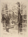 Cypress Swamp