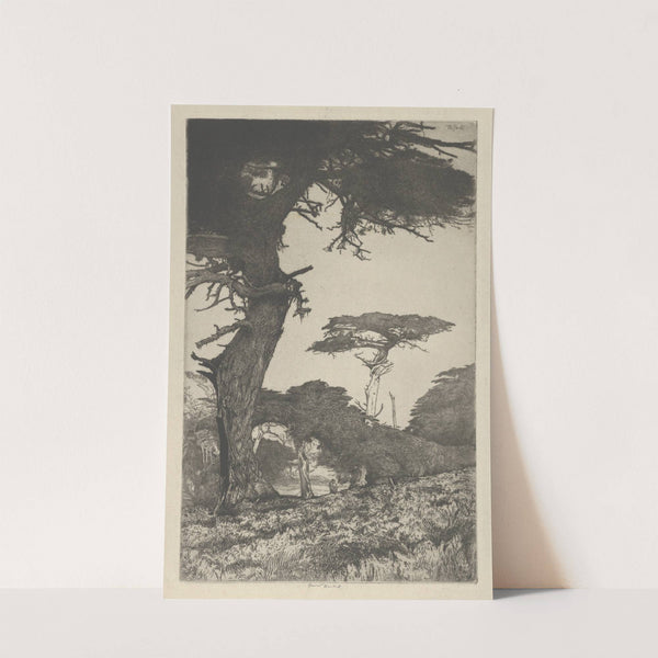 Cypress Vale (1915) by Ernest Haskell