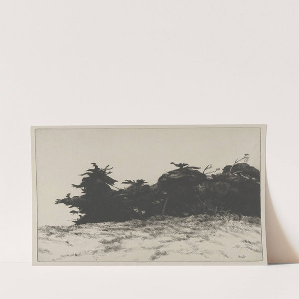 Cypress Wall (1915) by Ernest Haskell