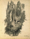 Cypresses in the Park at Villa d’Este in Tivoli