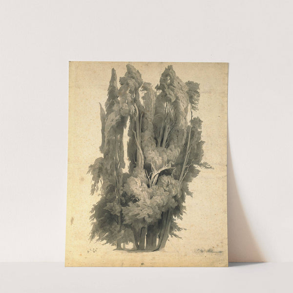 Cypresses in the Park at Villa d’Este in Tivoli by Johann Wilhelm Schirmer