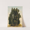 Cypresses. Study by Gustaf Wilhelm Palm