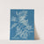 Cystoseira ericoides. by Anna Atkins