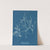 Cystoseira foeniculacea by Anna Atkins