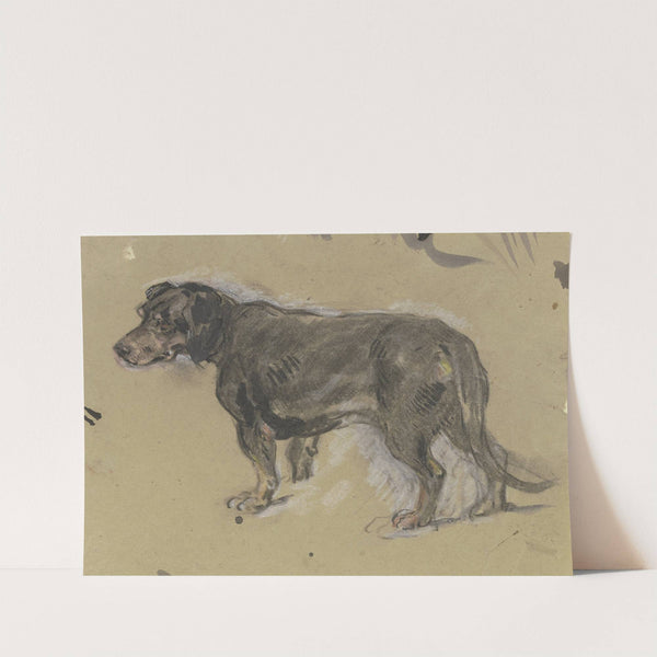 Dachshund to the left by Anton Burger