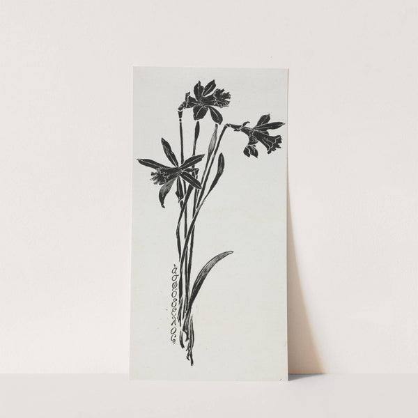 Daffodils (c. 1857–1911) by Harry Fenn