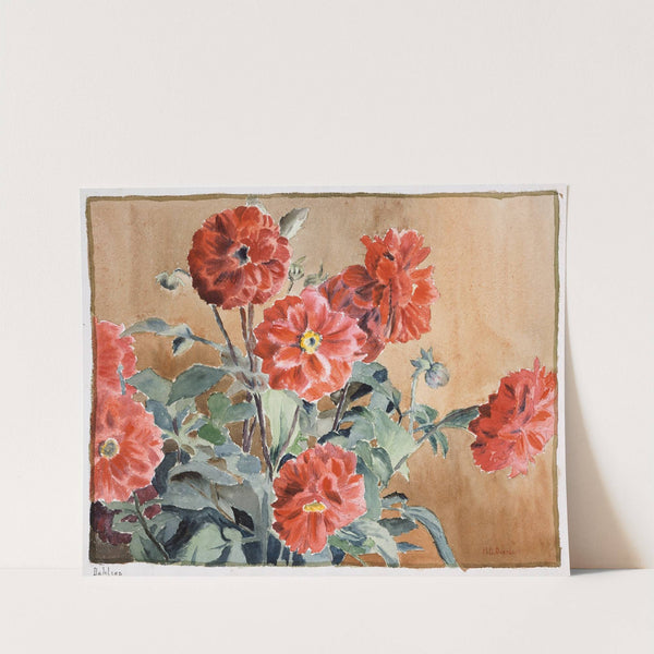 Dahlias by Hannah Borger Overbeck