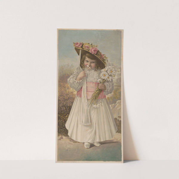 Daisies (1891) by Knapp & Co.