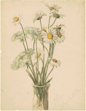 Daisies and Queen Ann’s Lace