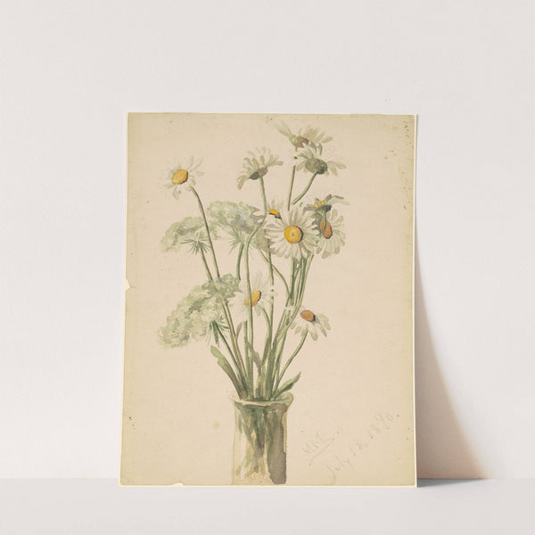 Daisies and Queen Ann's Lace by Marietta Minnigerode Andrews